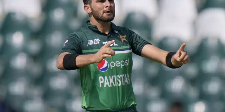 Shaheen Afridi discusses his goals for the ODI World Cup and how he "had discussions with IPL players." 1 Shaheen Afridi discusses his goals for the ODI World Cup and how he "had discussions with IPL players."