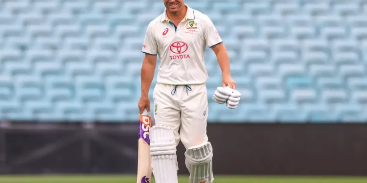 I'm also undoubtedly calling it quits with one-day cricket: David Warner