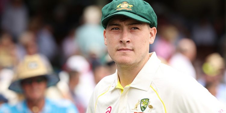 It has been an unusual six months since David Warner declared the end of his Test career: Matt Renshaw