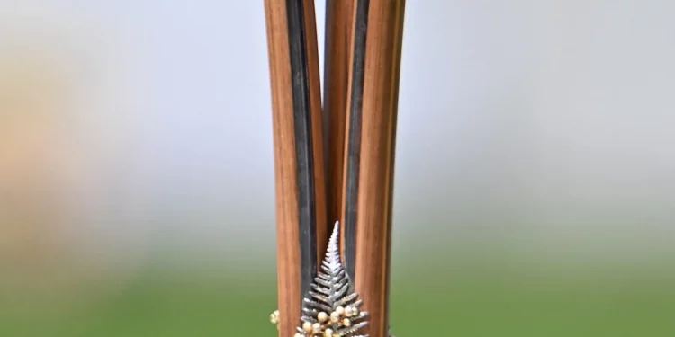 T20Is now part of the Chappell-Hadlee Trophy; winner is determined by point system 1 T20Is now part of the Chappell-Hadlee Trophy; winner is determined by point system