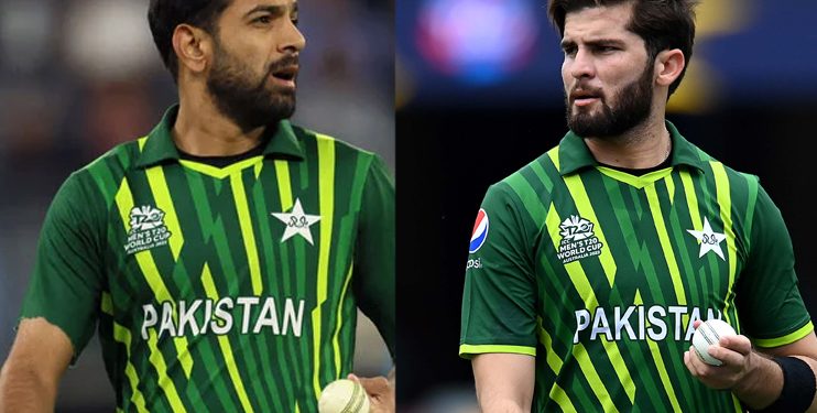 Queries from Shaheen Afridi When did PCB decide to end Haris Rauf's central contract? 1 Queries from Shaheen Afridi When did PCB decide to end Haris Rauf's central contract?