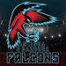 CPL announces the Antigua and Barbuda Falcons as a new team. 6 CPL announces the Antigua and Barbuda Falcons as a new team.