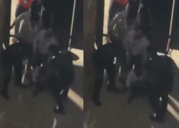 Supporters alarmed by a physical assault on a Kohli fan: "Don't have the right to touch anyone."