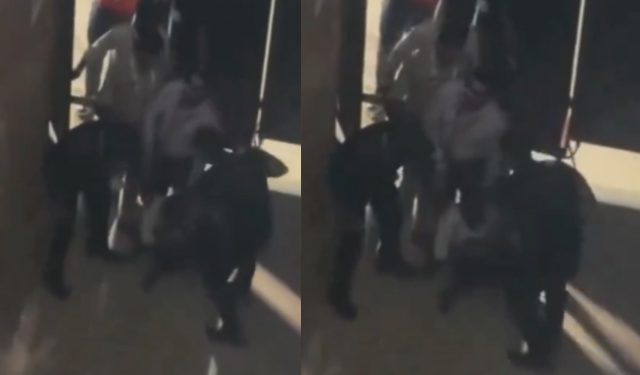 Supporters alarmed by a physical assault on a Kohli fan: "Don't have the right to touch anyone."