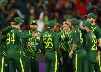 The Pakistan Cricket Board has announced the 17-man team for the Twenty20 Internationals against New Zealand, recalling Muhammad Amir and Imad Wasim.