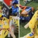 IPL 2024: Ravindra Jadeja steps in front of MS Dhoni to tease the Chepauk crowd, but he quickly retreats 6 IPL 2024: Ravindra Jadeja steps in front of MS Dhoni to tease the Chepauk crowd, but he quickly retreats