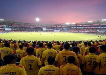 IPL 2025: Crucial Dos and Don'ts for Stadium Live Match Observation
