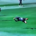 See Tim Robinson's incredible Glenn Phillips-style catch during the first Twenty20 International between New Zealand and Pakistan in 2025.