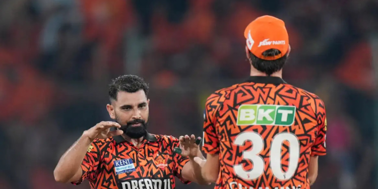My viewpoint has been totally altered by SRH, who have redesigned the game: Mohammed Shami