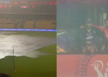 Has RCB made it to the 2025 IPL Playoffs?