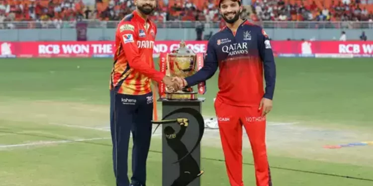 IPL 2025 Memes: Funny Reactions to PBKS vs. RCB, Mullanpur Cricket Stadium, Qualifier 1 1 IPL 2025 Memes: Funny Reactions to PBKS vs. RCB, Mullanpur Cricket Stadium, Qualifier 1