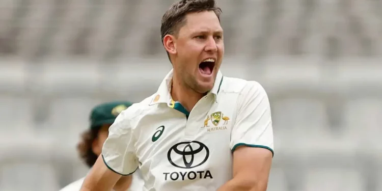 It would be a great honour to play for the country in a major match like the WTC final, says Beau Webster 1 It would be a great honour to play for the country in a major match like the WTC final, says Beau Webster