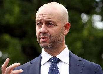 According to CA CEO Todd Greenberg, the forthcoming India series will be a "summer like we've never seen before"