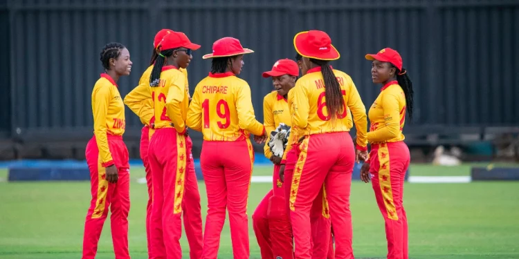 Zimbabwe will debut in the Women's Championship while touring New Zealand 1 Zimbabwe will debut in the Women's Championship while touring New Zealand