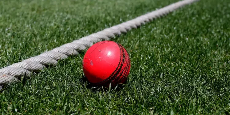 England to play Prime Minister’s XI in pink-ball match before Ashes day-night Test 1 England to play Prime Minister’s XI in pink-ball match before Ashes day-night Test