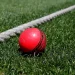 England to play Prime Minister’s XI in pink-ball match before Ashes day-night Test 6 England to play Prime Minister’s XI in pink-ball match before Ashes day-night Test
