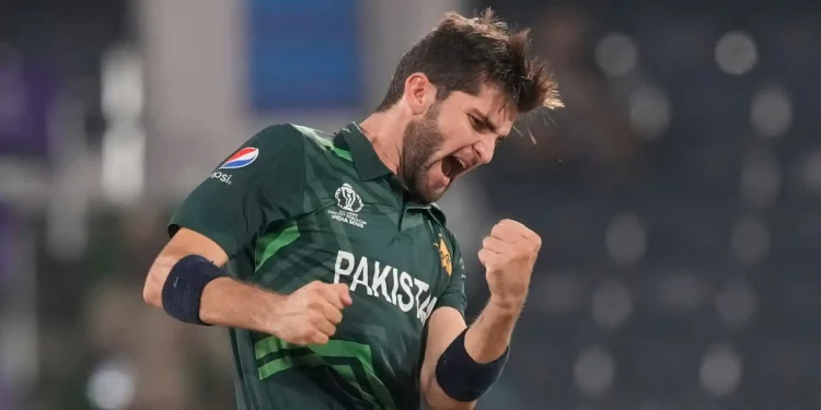 Shaheen Shah Afridi Named Pakistan’s New ODI Captain 1 Shaheen Shah Afridi Named Pakistan’s New ODI Captain