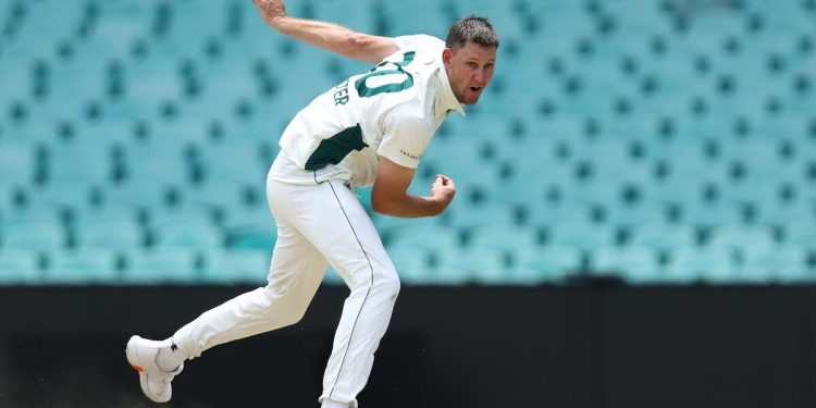 Webster’s Heroics in Vain as Tasmania Suffer Defeat 1 Webster’s Heroics in Vain as Tasmania Suffer Defeat