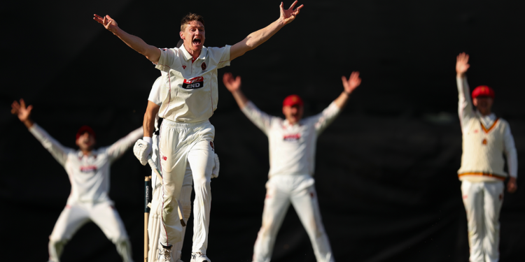 Weatherald and Webster Miss Out Wickets as Doggett Bags Five Wickets 1 Weatherald and Webster Miss Out Wickets as Doggett Bags Five Wickets